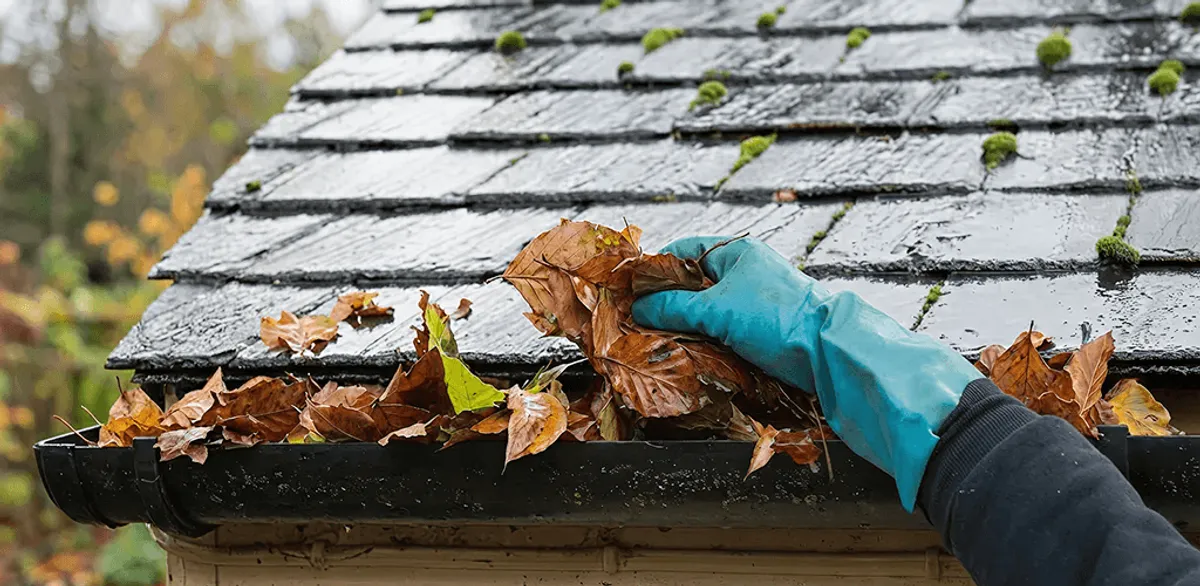 Gutter cleaning technician clearing wet leaves from roof gutters in Scottsdale, AZ